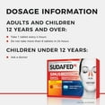 thumbnail image 4 of Sudafed PE Day and Night Sinus Congestion Tablets, 20 Ea, 6 Pack, 4 of 4