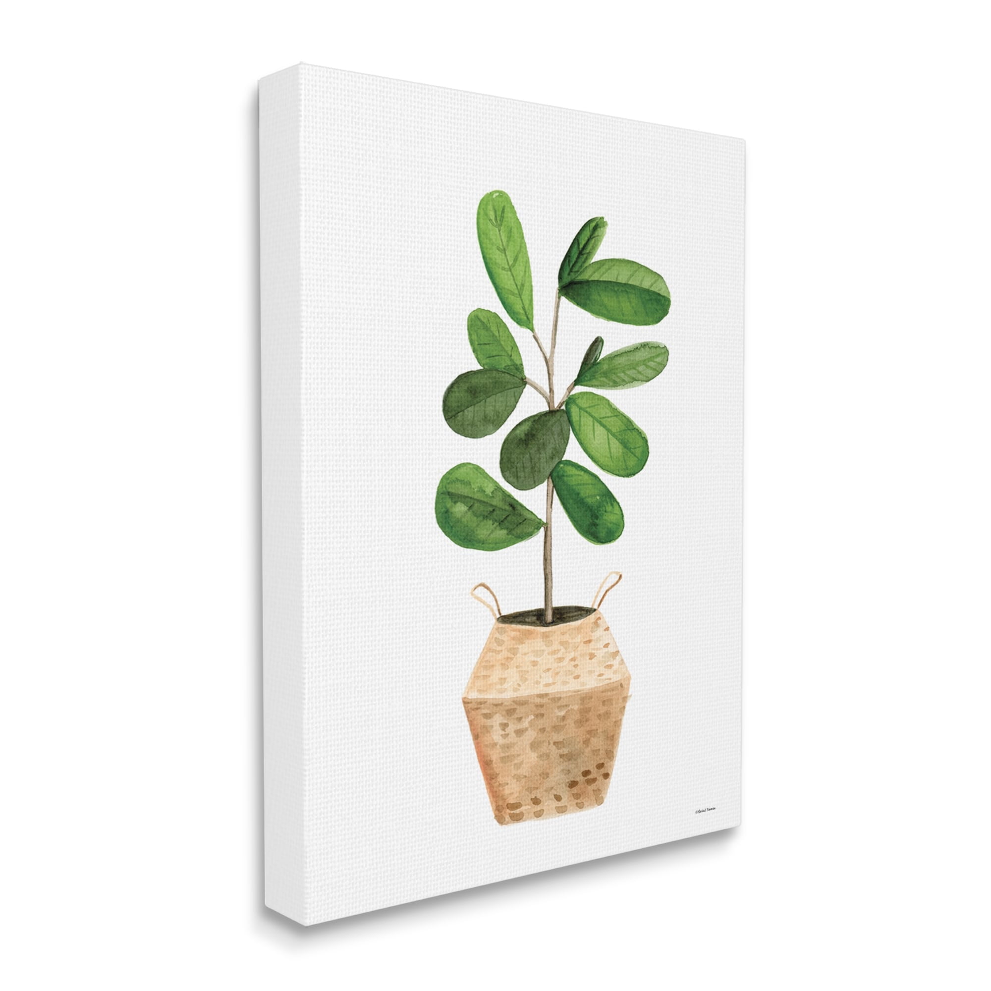 Stupell Round Green Leaves Planter Botanical & Floral Painting Gallery Wrapped Canvas Print Wall Art