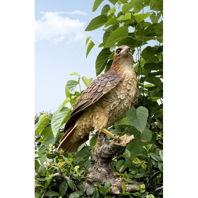 Garden Statue Hi-Line Gift Ltd Wild Hawk on Branch