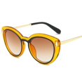 thumbnail image 2 of Lunettes de Soleil Il de Chat Classiques Unisexes Y1026, 2 of 5
