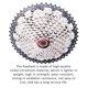 thumbnail image 3 of Greeniant 10 velocidades 11-50T Super Light Cassette Flywheel Metal Flywheel Cassette profesional Sprocket Racing Accesorio de bicicleta para Ciclismo Greeniant OD004832-00, 3 of 6