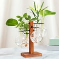 thumbnail image 4 of 1 Set Plants Propagation Station with 4 Glass Vases Indoor House Plant Terrarium Kit Hydroponic Flower Holder Plants Container Decoration Table Centerpiece, 4 of 7