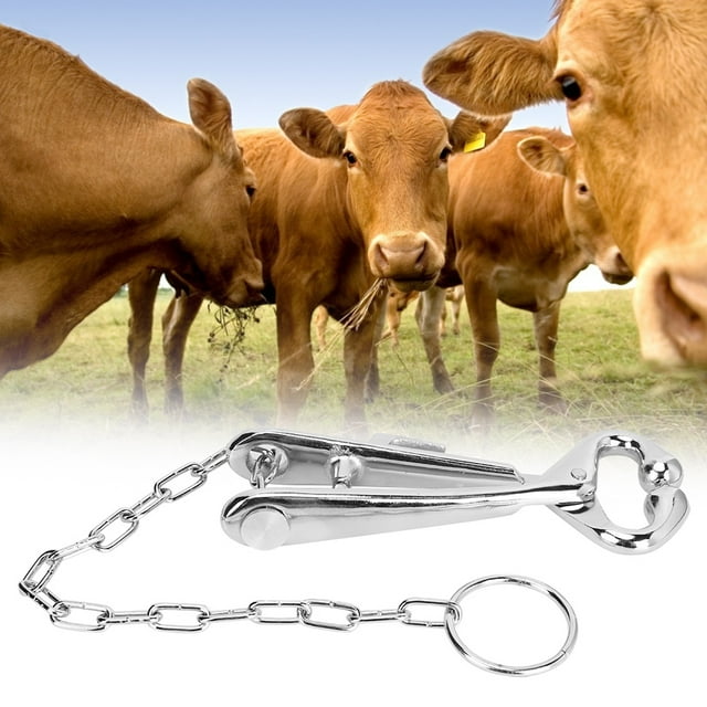 Outil Eartag, Fil de Nez pour Vache avec Fil de Nez pour Bétail, Fil de Nez pour Vache avec Fonctionnalités de Pointe