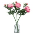 thumbnail image 6 of Vickerman 24" Artificial Pink Peony Stem, Set of 3, 6 of 8