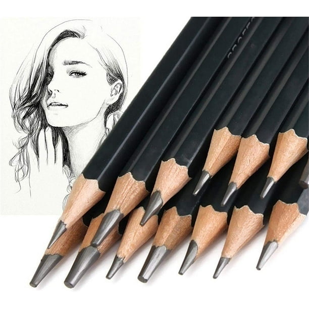 Piao 51-piece Set Dessin Crayons Kit d'art, Stylos à dessin Art  professionnel Graphite Peinture au fusain Outils de dessin pour artistes  Étudiants Enseignants Débutants