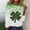 Green 2, variant on St. Patrick's Day Shirts for Women Long Sleeve Tops Crewneck Pullover Tshirt Green Shamrock Graphic Tees Green Clover T Shirt