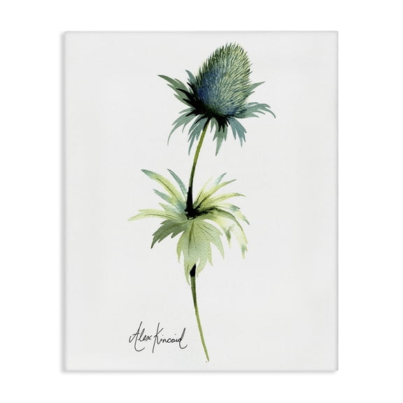 Stupell Industries Minimalist Simple Thistle Plant Canvas Art, 16 x 20, by Alexandria Gilbert Kincaid