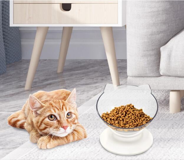 elevated cat water bowl