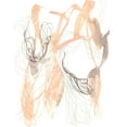 thumbnail image 2 of Goldberger, Jennifer 15x18 White Modern Wood Framed Museum Art Print Titled - Petal Matrix I, 2 of 4