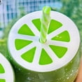 thumbnail image 3 of Jiibva Summer Fruit Cup with Lids, Reusable Lime Drinking Cup Novelty Party Cups for Birthday Tropical Luau Party Favor Supplies, 3 of 7