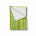 thumbnail image 2 of Lime Green Soft Flannel Fleece Throw Blanket, Pastel Toned Vertical Bands Striped Lines Geometric Soft Print, Cozy Plush for Indoor and Outdoor Use, 60" x 80", Pale Green Yellow, by Ambesonne, 2 of 6