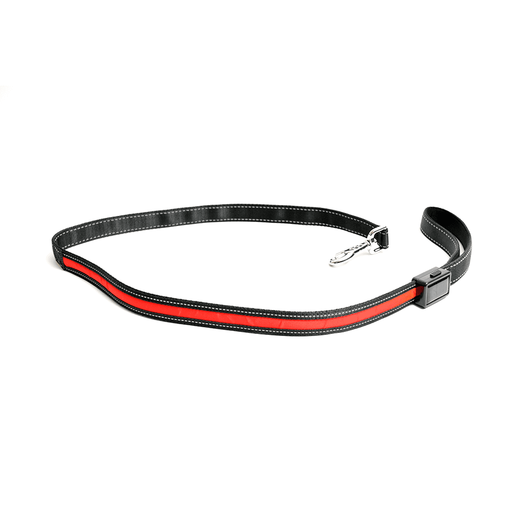 light up dog leash walmart