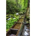 thumbnail image 2 of Flaherty, Dennis 23x32 Black Ornate Wood Framed with Double Matting Museum Art Print Titled - TN, Great Smoky Mts View of the Tub Mill flume, 2 of 4