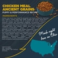 thumbnail image 2 of Blackwood Puppy & Performance Chicken Meal with Ancient Grains 24 lb, 2 of 8