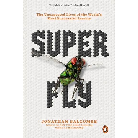 Super Fly: The Unexpected Lives of the World's Most Successful Insects, (Paperback)