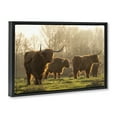 thumbnail image 4 of Stupell Industries Longhorns in Foggy Pasture Animals & Insects Photography Black Floater Framed Canvas Art Print Wall Art, 25 x 17, 4 of 10