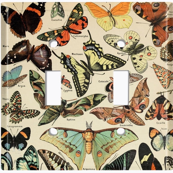 Metal Light Switch Wall Plate Outlet Cover (Printed Image of Butterfly Chart - Double Toggle)