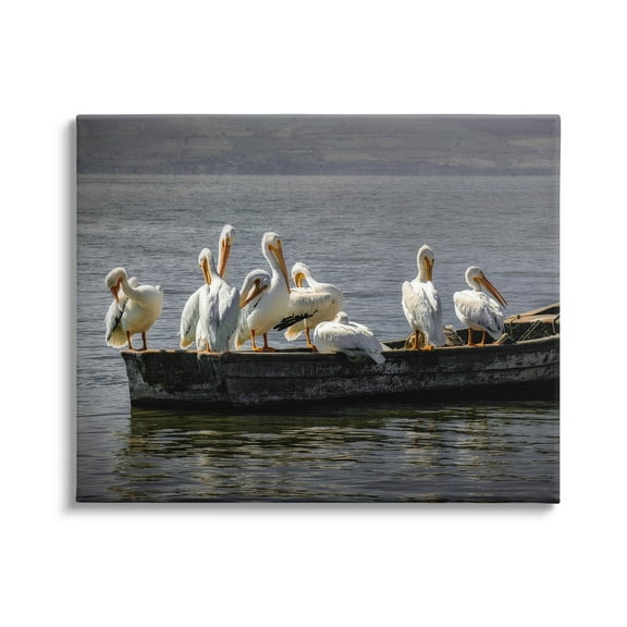 Stupell Industries Pelican Flock On Floating Lake Boat Photograph Gallery Wrapped Canvas Print Wall Art, Design by David Lorenz