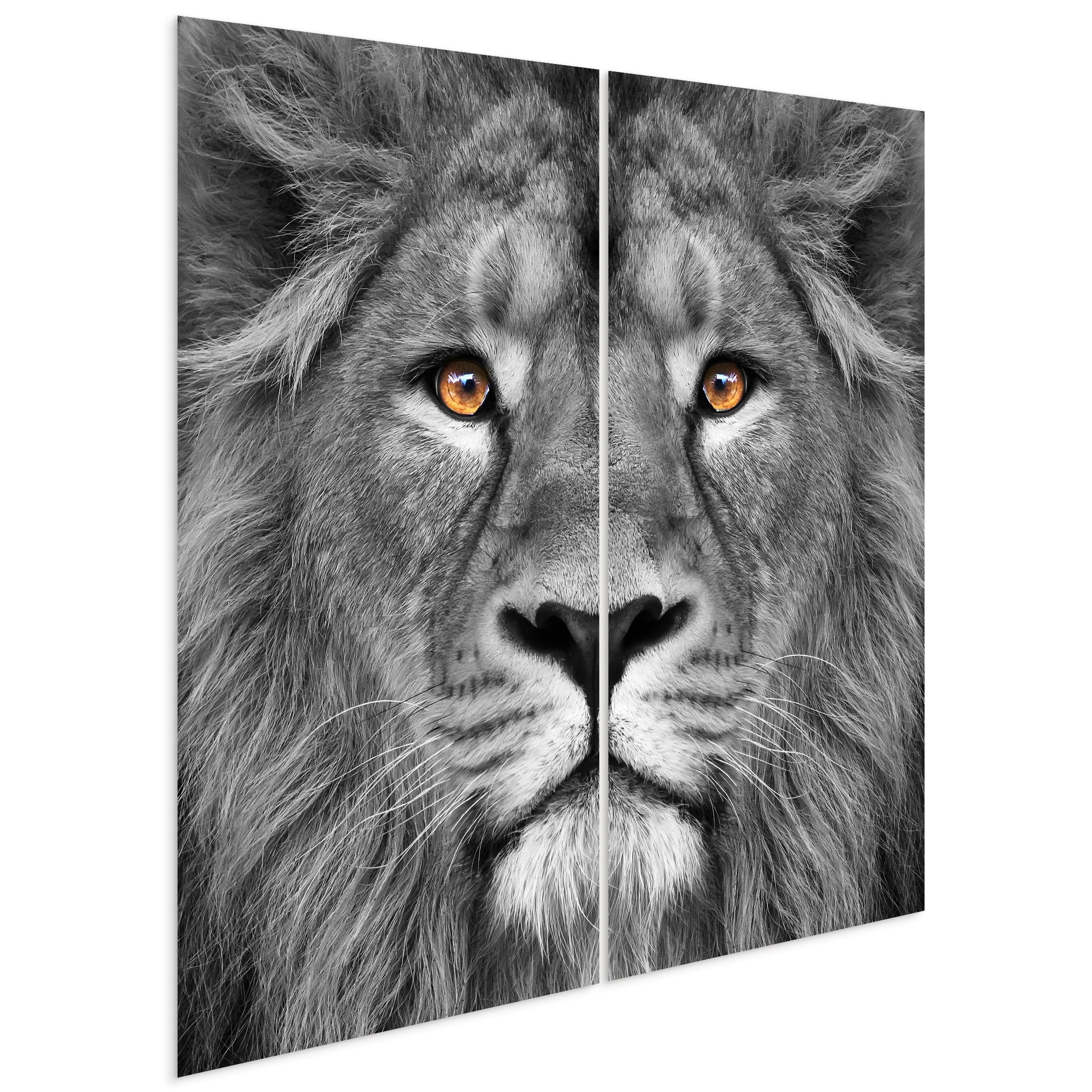 King of the Jungle Driptych Frameless Free Floating 36 in x 72 in Photography Art Prints, by Empire Art Set of 2