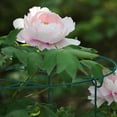 thumbnail image 1 of Grow Through Plant Support with 3 Re-positionable Legs Metal Garden Support Ring Garden Plant Stake Flower Support Cage Reusable Climbing Trellis, 1 of 2