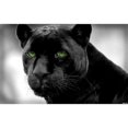 thumbnail image 3 of CafePress - Black Panther Mugs - 11 oz Ceramic Mug - Novelty Coffee Tea Cup, 3 of 6
