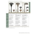 thumbnail image 2 of Kichler Lighting - One Light Path & Spread - Landscape 12V Path & Spread -, 2 of 4