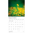 thumbnail image 3 of Blessings | 2027 12x24" (Hanging) Wall Calendar | Plastic-Free, 3 of 4