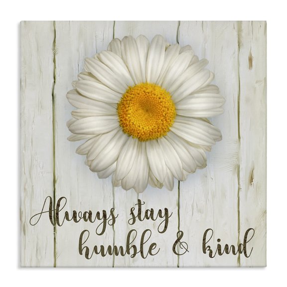 Stupell Industries French Country Always Stay Humble Daisy Canvas Art, 30 x 30, by Ziwei Li