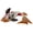 Koi fish, variant on Yammee Lovely Hair Claw Large Ponytail Catch Beach Barrettes Strong Hold Hairpin