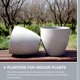 thumbnail image 5 of unbranded Maceta Para Plantas Interiores De Resina Con Drenaje Para Salón Y Oficina, 5 of 5