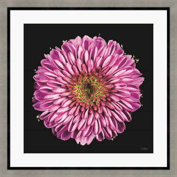 Great Art Now Purple Gradient by Donnie Quillen, Framed Wall Art, 24W x 24H