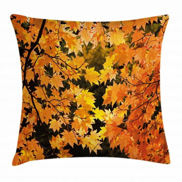 Fall Decor Throw Pillow Cushion Cover, Vibrant Leaves of Autumn Maple Tree Branches Sunbeams