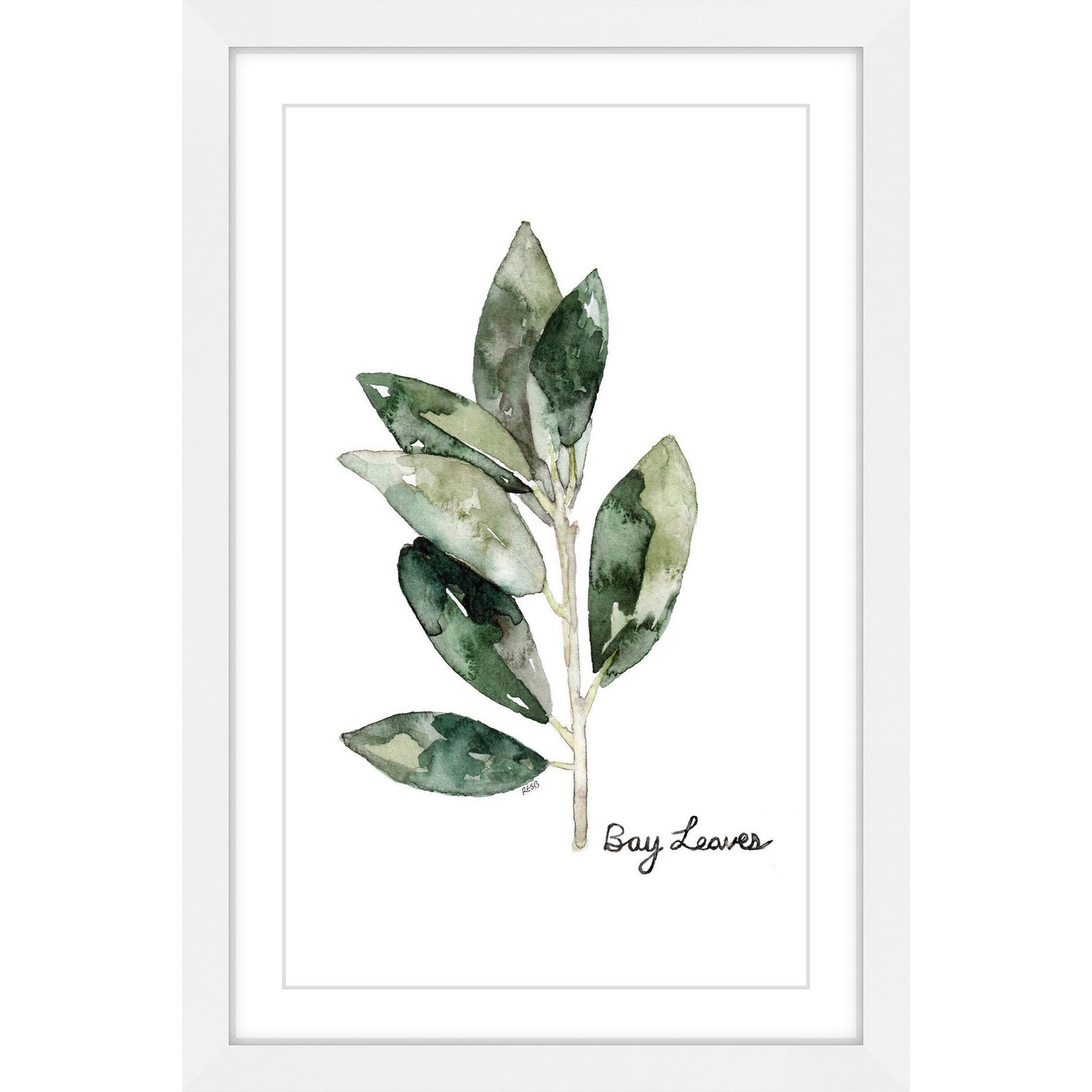 Marmont Hill "Herb Bay Leaves" by Rachel Byler Framed Painting Print