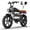 T73-Brown, variant on Tamobyke T73PROMAX Electric Bike for Adults, Peak 3000W 37.5mph 48V 36.4Ah Dual Motor Battery E-Mountain Bike,20" Fat Tire UL2849