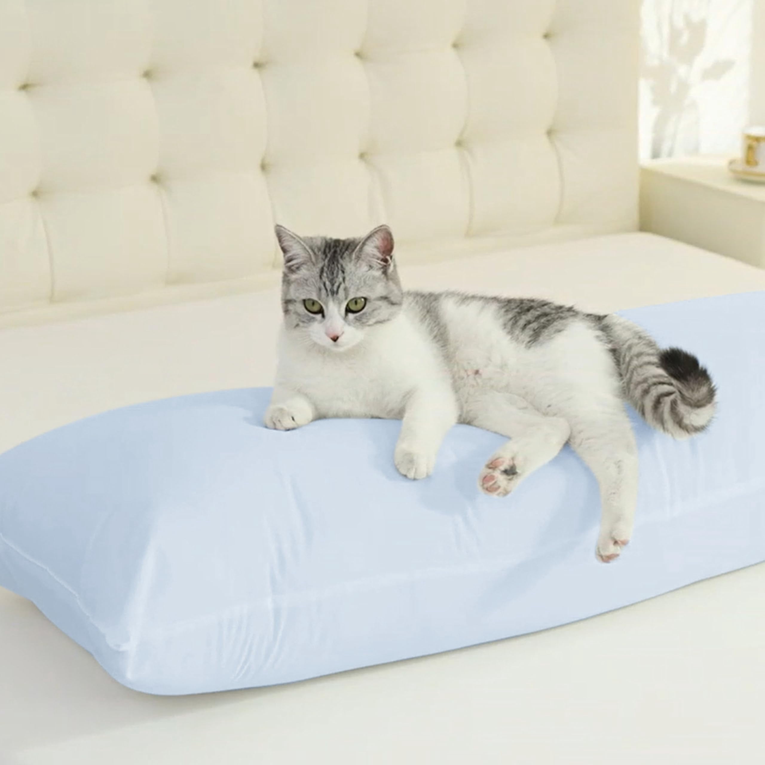 Cotton Body Pillow Insert Cooling Breathable Full Body Pillow for Side Sleepers Soft Long Bed Pillow for Adults 20 x 54 Inch Black