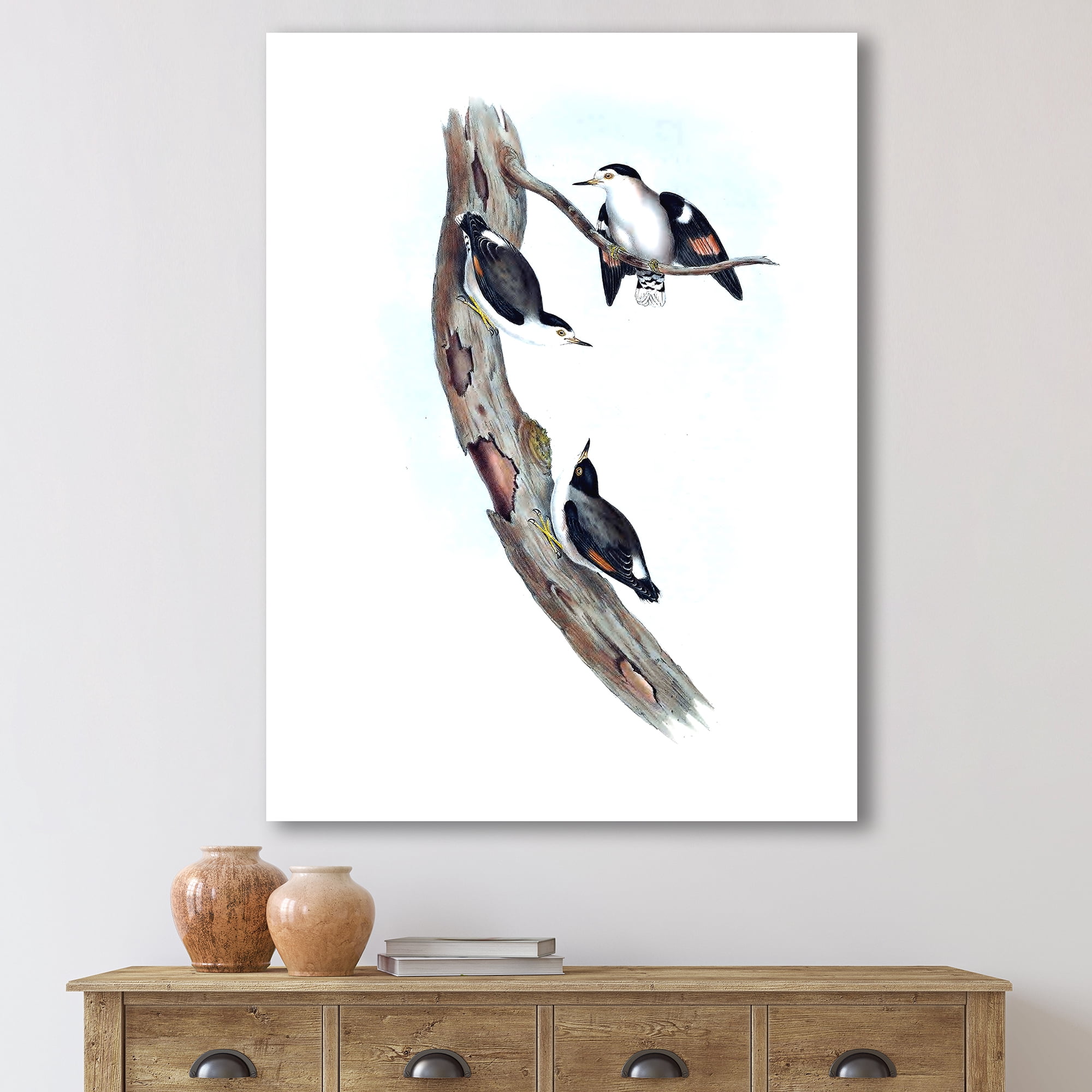 Designart ' Ancient Australian Bird Illustrations I ' Traditional Canvas Wall Art Print