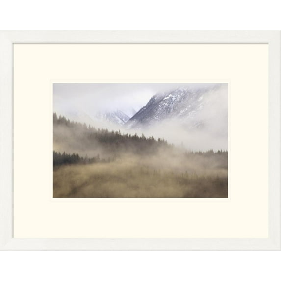 Global Gallery Gerry Ellis 'Fog in old growth forest, Chilkat River Wilderness, Alaska' Framed Wall Art