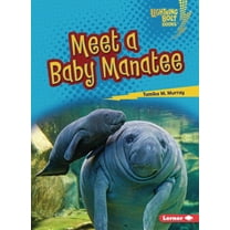 Lightning Bolt Books (R) -- Baby North A Meet a Baby Manatee, (Paperback)