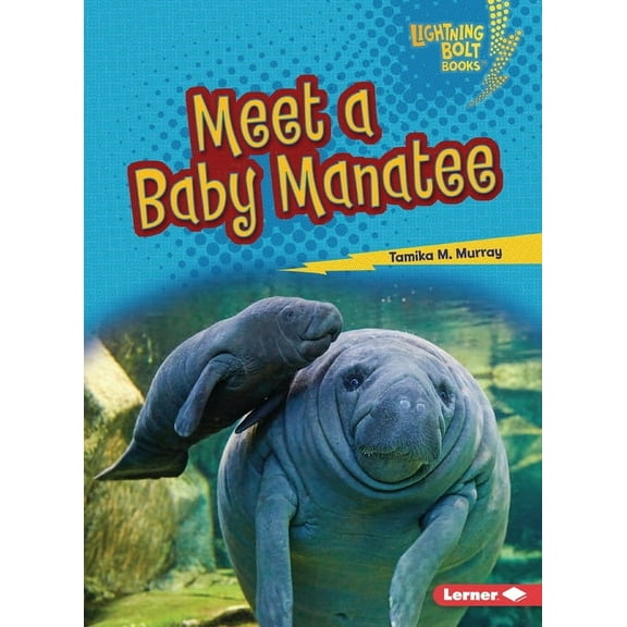 Lightning Bolt Books (R) -- Baby North A Meet a Baby Manatee, (Paperback)