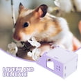 thumbnail image 3 of 2 Pcs Petit Labyrinthe d'Animaux Cabane Cachette Maison Habitat Déco pour Cochon d'Inde et Hamster, 3 of 9
