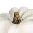 thumbnail image 2 of Northlight 14" White Pumpkin Halloween Statue, 2 of 3