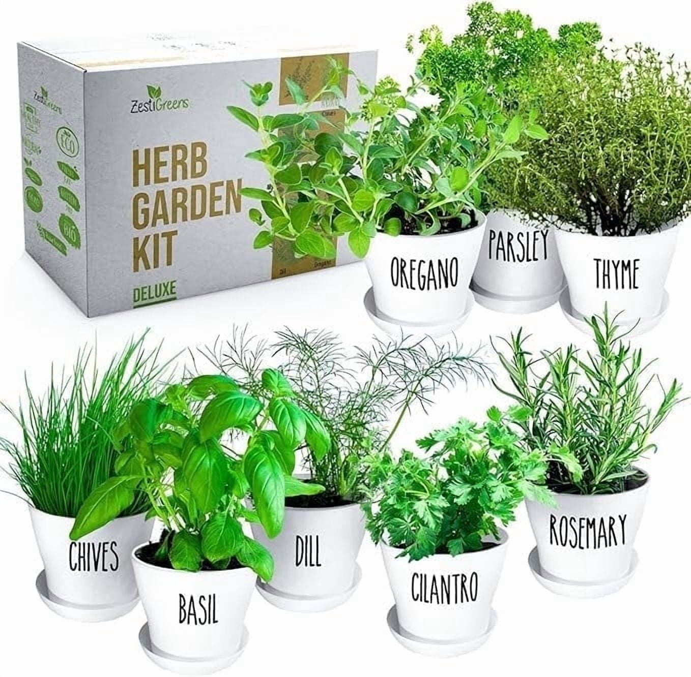 Deluxe Herb Garden Kit - 8 Variety Herbs for Indoor & Outdoor – Get Growing with Pots, Potting Soil for Window Herb Garden. (8 Set Deluxe herb kit)