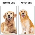thumbnail image 4 of Dog & Cat Brush, Pet Grooming Dematting Dog Comb for Short and Long Hair, Massage Removes Mat Cat Comb for Shedding Short Long haired with Quick Self Cleaning Button--, 4 of 6