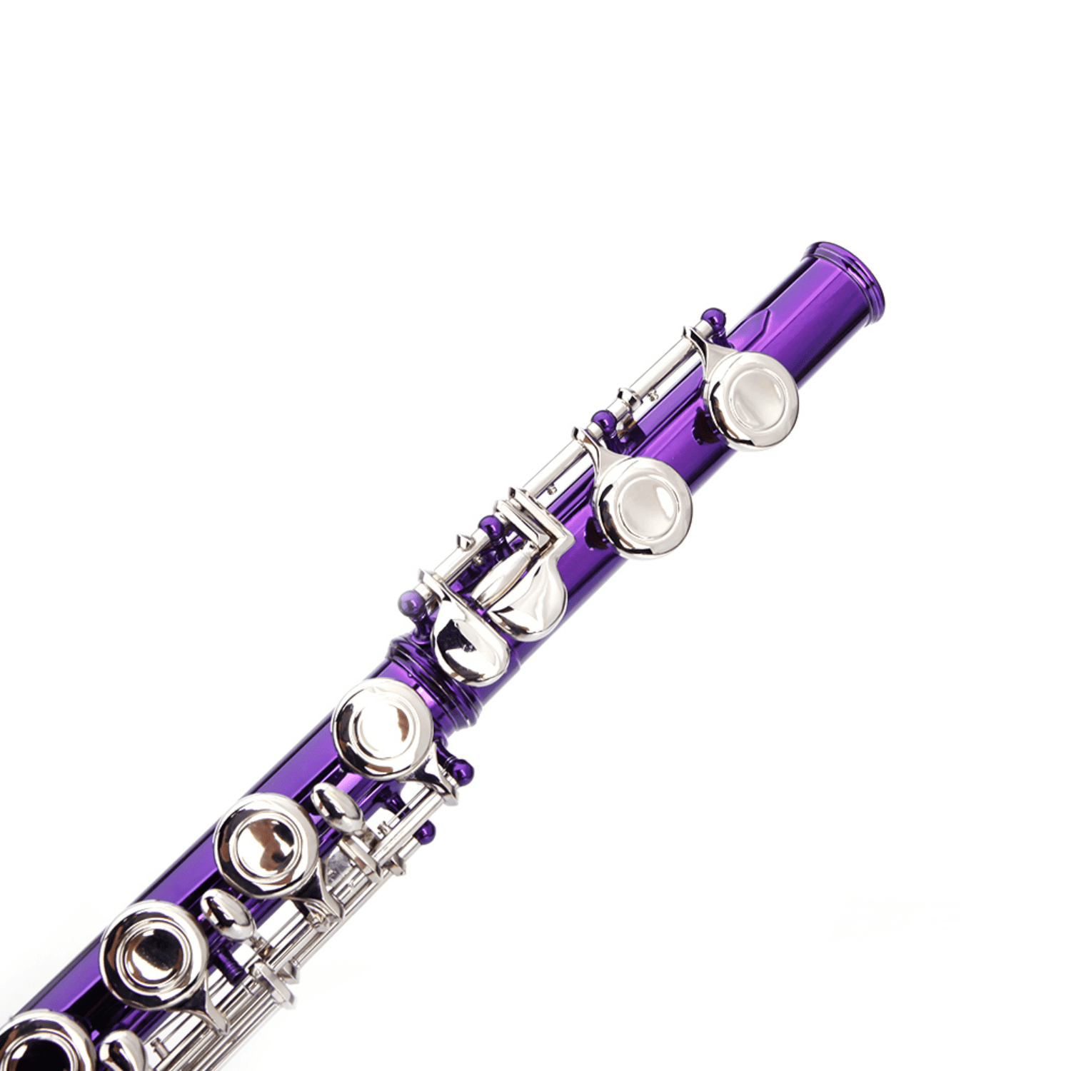 Hassch C Flute 16 Closed Hole for Beginners with Case, Cloth, Screwdriver, Lubricant and Cleaning Rod, Purple