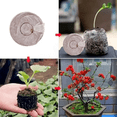 thumbnail image 2 of Planting Soil Blocks Plug Nutrition Compressed Peat Blocks Coconut Soil Peat Compressed Seedling Blocks, 2 of 7