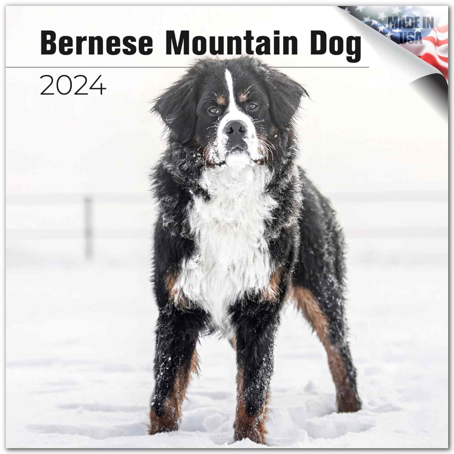 2023 2024 Bernese Mountain Dog Calendar Dog Breed Monthly Wall 2023 2024 Bernese Mountain Dog Calendar Dog Breed Monthly Wall