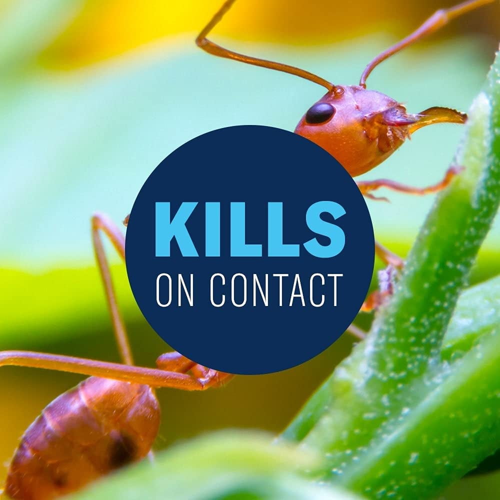 SBM Life Science Fire Ant Killer Insecticide Spray - 24 Hour Lawn Treatment - 32oz Bottle