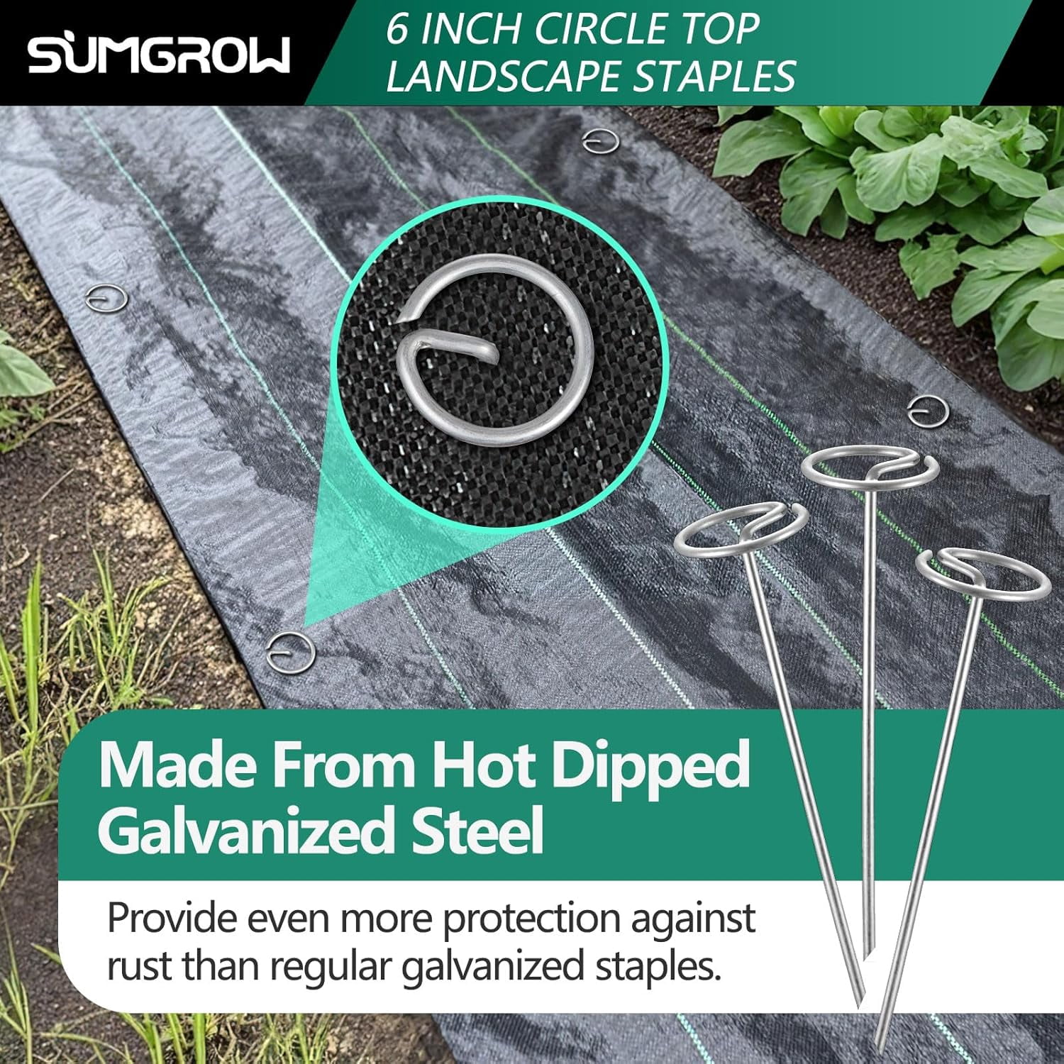 120 Pack 6-inch, Landscape Staples, Fabric Pins, Weed Barrier Stakes, Circle Top Galvanized Steel Spikes for Securing Outdoor Tent, Ground Sheets, Fleece, Edging, Lawn Turf, Decorations