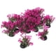 thumbnail image 1 of UPGRATOR 20Ud De Plásticas Violetas Para Acuario Con Apariencia Natural Y Duradera, 1 of 5
