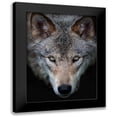 thumbnail image 1 of Cumming, Jim 15x18 Black Modern Framed Museum Art Print Titled - All the better to see you, Timber Wolf, 1 of 5